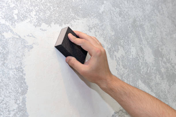 Best Environmental Consulting for Mold Prevention  in Washington, GA