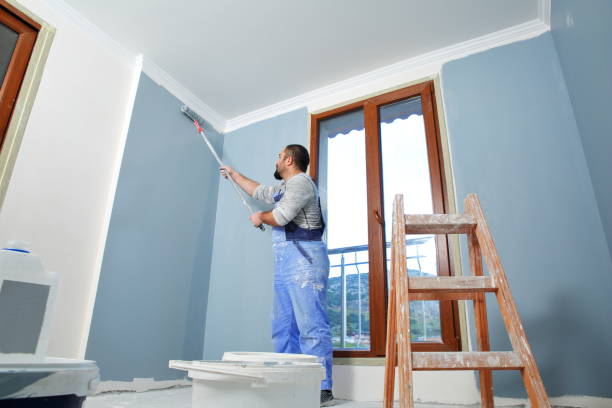 Best Emergency Mold Remediation  in Washington, GA