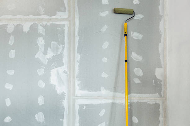 Best Mold Damage Restoration  in Washington, GA