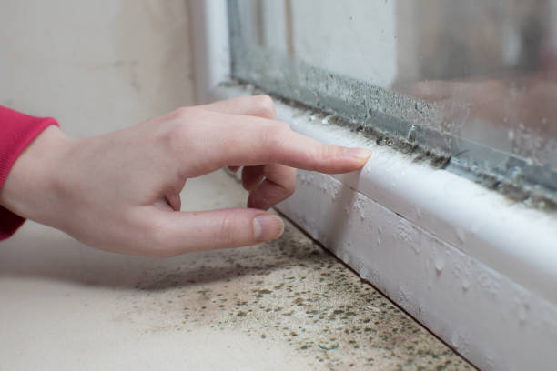 Best Indoor Air Quality Assessment  in Washington, GA