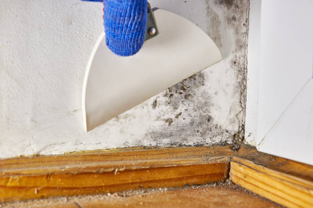 Best Post-Remediation Verification Testing  in Washington, GA