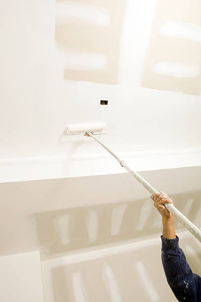 Best Basement Mold Removal  in Washington, GA