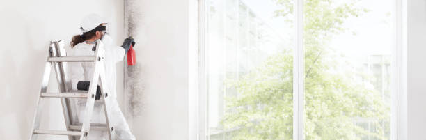Best Residential Mold Inspection & Testing  in Washington, GA