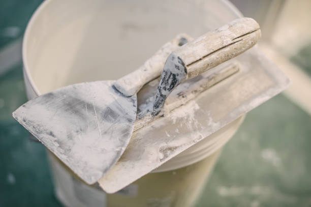 Best Dehumidification Services  in Washington, GA
